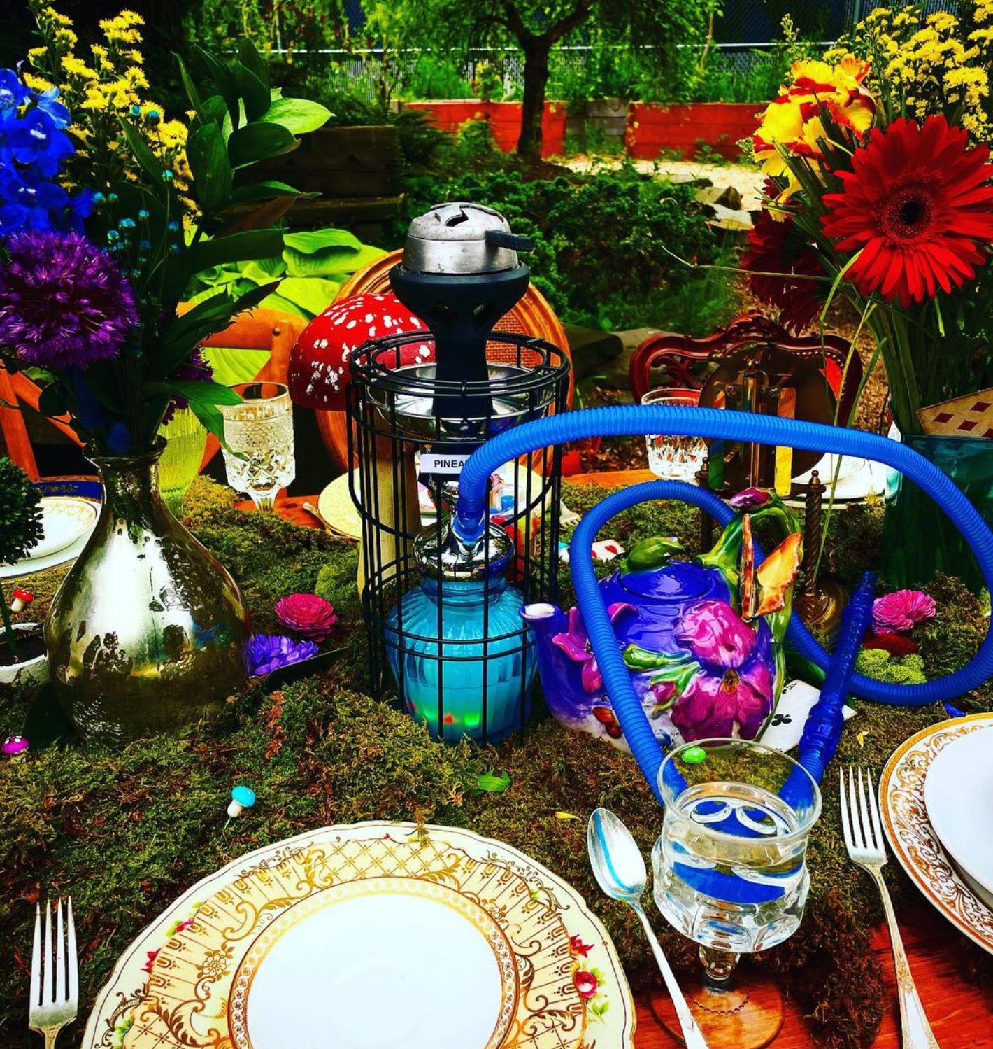 Shisha Rental Hookah Rentals New York | New Jersey | CJ Hookah Rentals